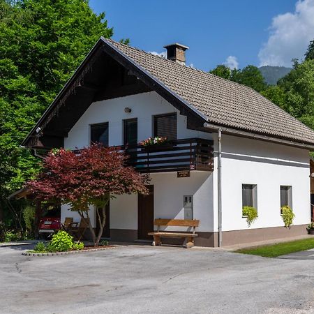 Apartma Pri Lipi Bohinji-tó Kültér fotó