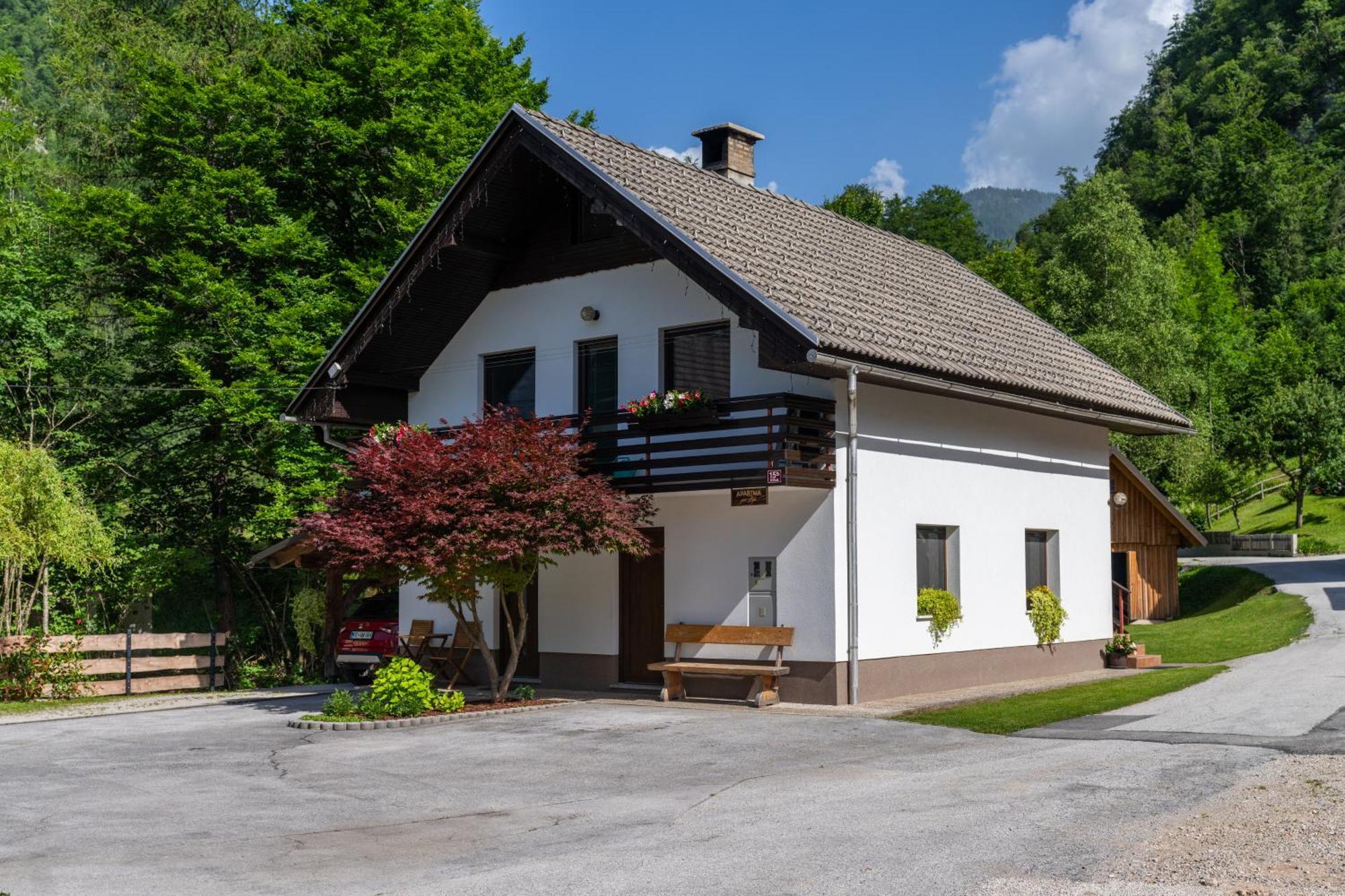 Apartma Pri Lipi Bohinji-tó Kültér fotó