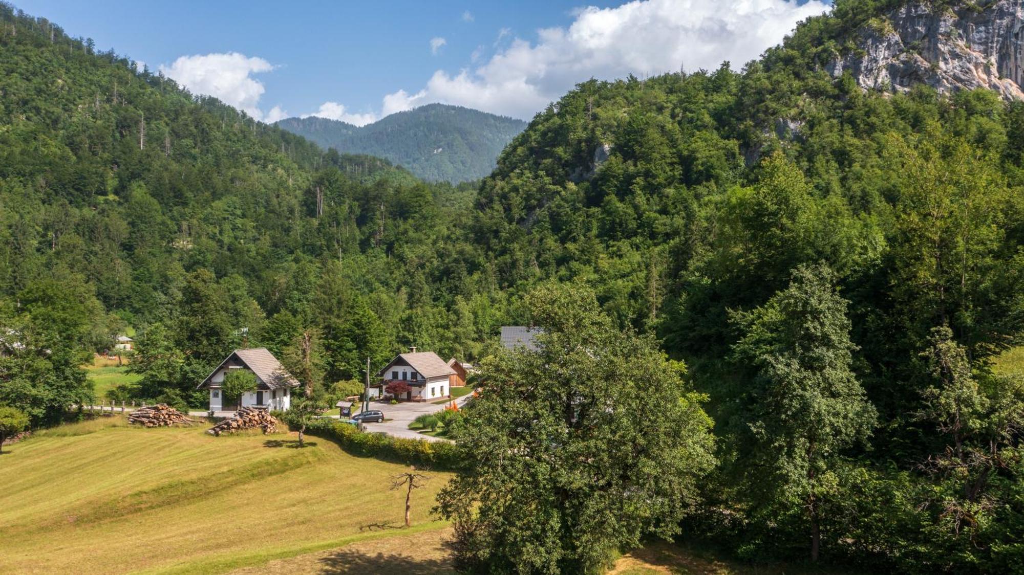 Apartma Pri Lipi Bohinji-tó Kültér fotó